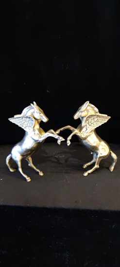 Pirinç Metaryal Pegasus Çift 