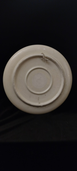 Dönem Kütahya El Boyama Duvar Tabağı